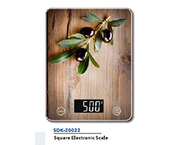 SDK-20022